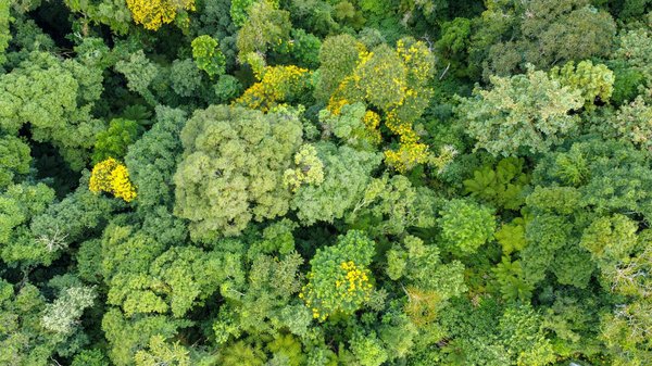 Serrurier : services d'urgence à votre porte en 30 minutes