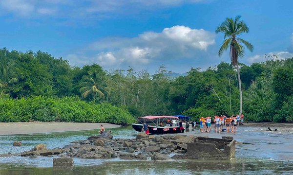 Comment planifier une excursion d'observation d'oiseaux pour les amateurs de nature?